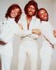 the_bee_gees